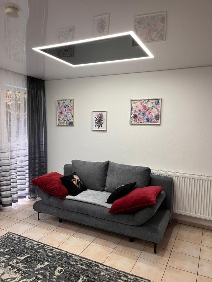 A&D Charmantes Apartment - Buehlertal Bei Buehl, Baden-Baden & Schwarzwald Ngoại thất bức ảnh